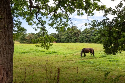 Images for Chorley Road, Parbold, WN8 7AS EAID:Regan Hallworth BID:Regan & Hallworth- Wigan